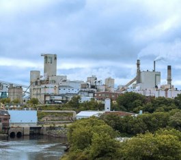 Domtar Espanola paper mill