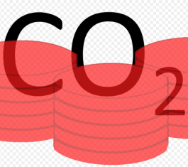 An Open Letter from Economists on Canadian Carbon Pricing