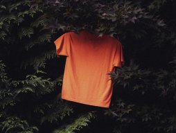 Orange t-shirt hanging in cedar trees; ​Photo by Aedrian on Unsplash