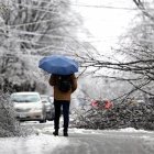 Person with umbrella surveying ice storm damage, with fallen trees, hydro wires covered in ice, and parked along the street. 